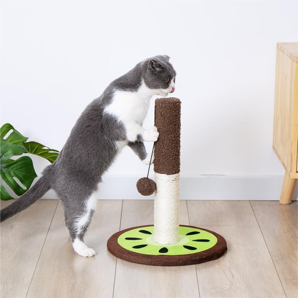 本日発送限定お値引き中 希少 マンドリン チャランゴ kirkinchu 本日発送限定お値引き中 希少 マンドリン チャランゴ kirkinchu - メルカリ